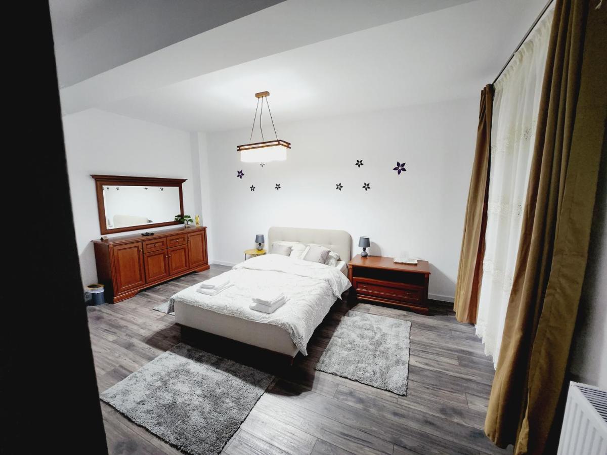 Armina'S Residence Dumbravita  外观 照片